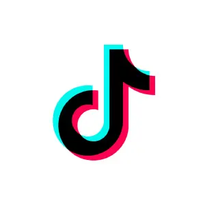 TikTok-Web-Scraping-API