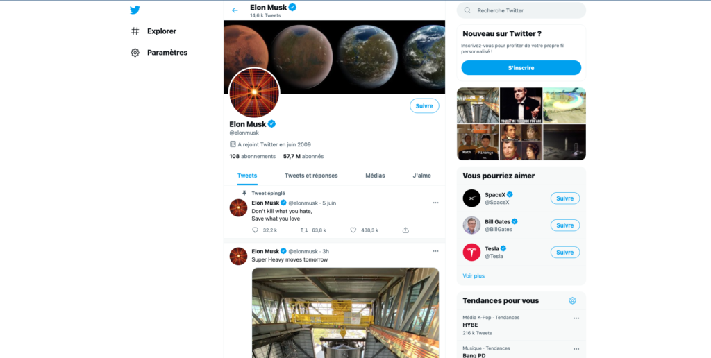 Screenshot of Elon Musk's profile page